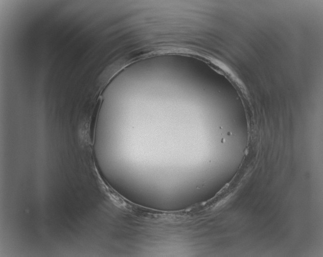 X0000069810905200606021502