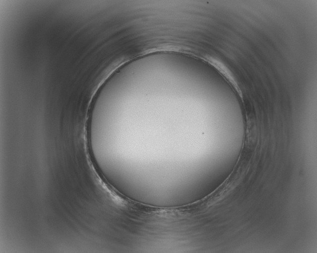 X0000069810906200606021502