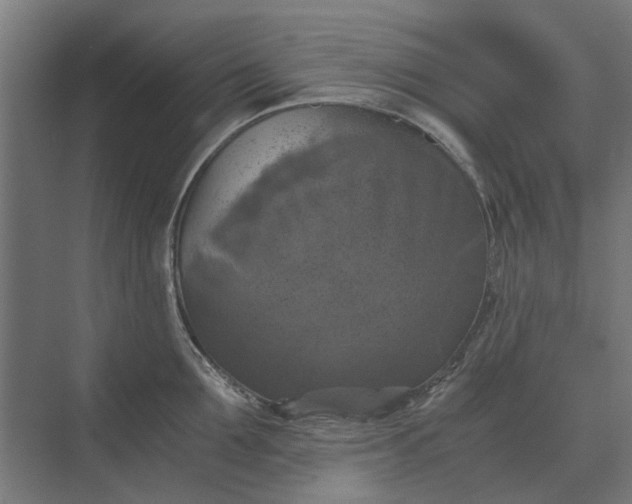 X0000069810907200606021502