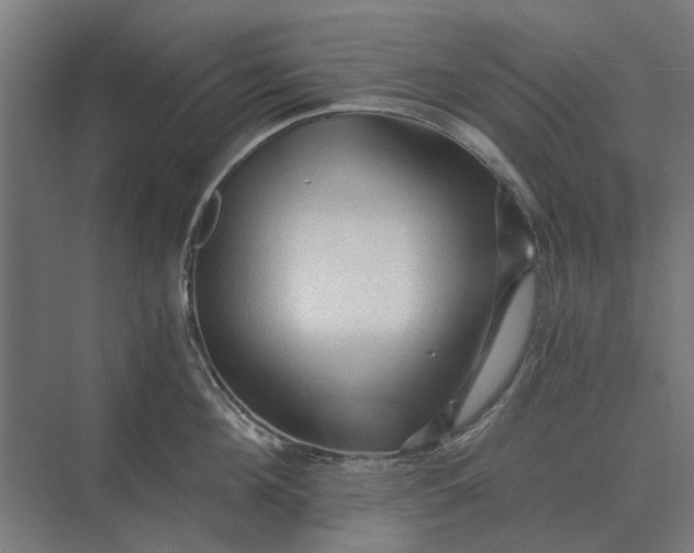 X0000069810908200606021502