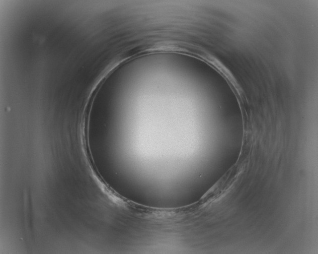 X0000069810909200606021502