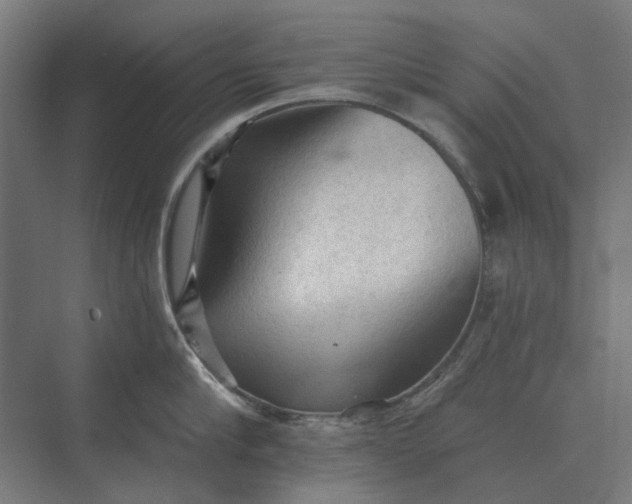 X0000069810910200606021502