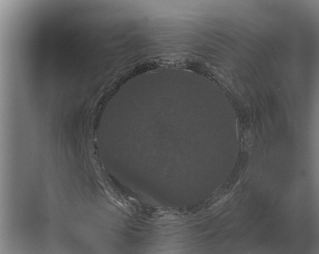 X0000069810913200606021501