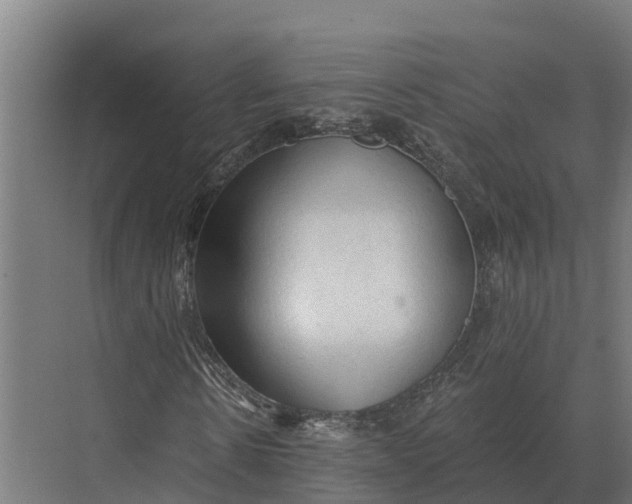 X0000069810914200606021501