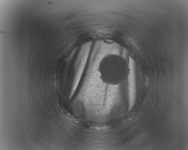 X0000069810915200606021501