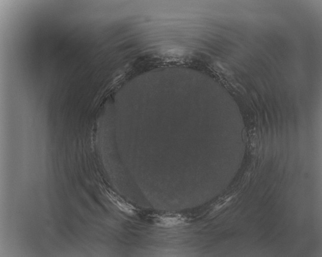 X0000069810916200606021501