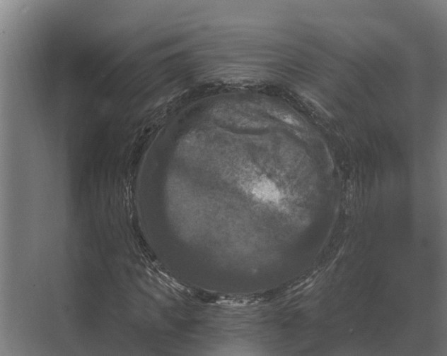 X0000069810917200606021501