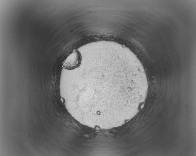 X0000069810918200606021501