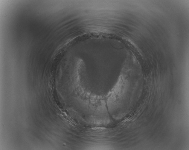 X0000069810919200606021501