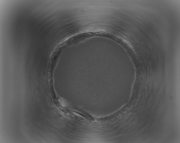 X0000069810920200606021501