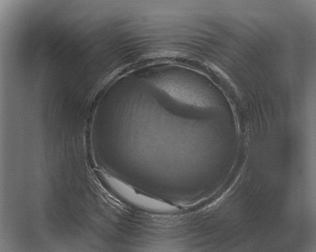 X0000069810921200606021501