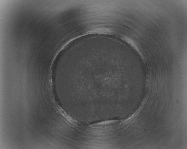 X0000069810923200606021501