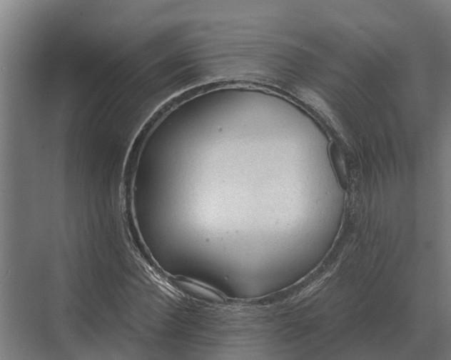 X0000069810924200606021501