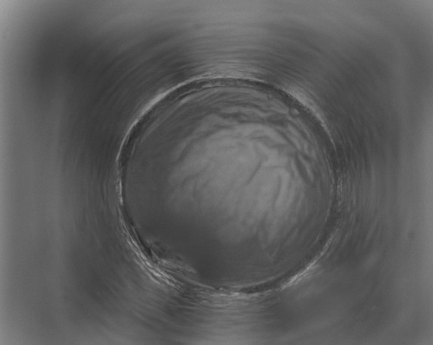 X0000069810925200606021501