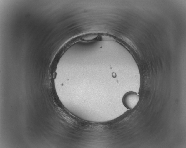 X0000069810926200606021501