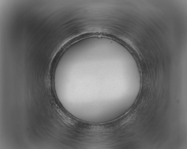 X0000069810927200606021501