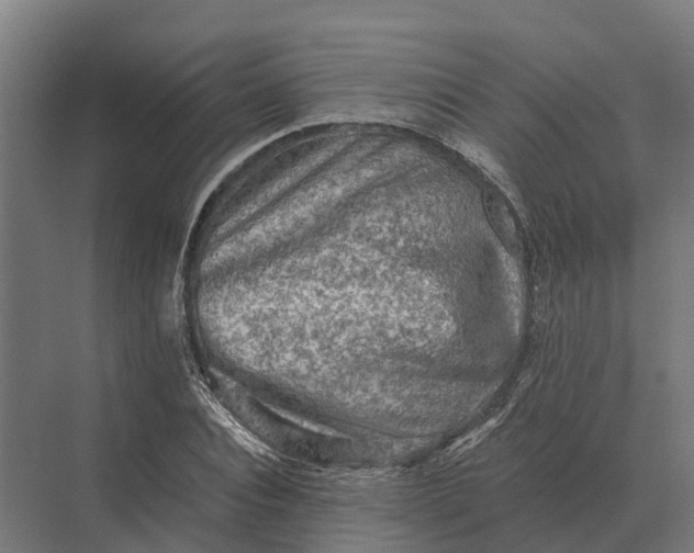 X0000069810928200606021501