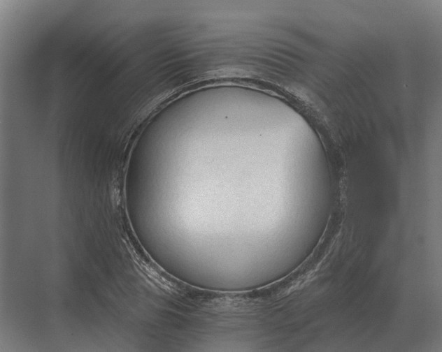 X0000069810929200606021501