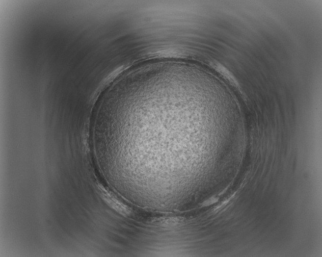 X0000069810930200606021501