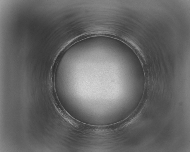 X0000069810933200606021501