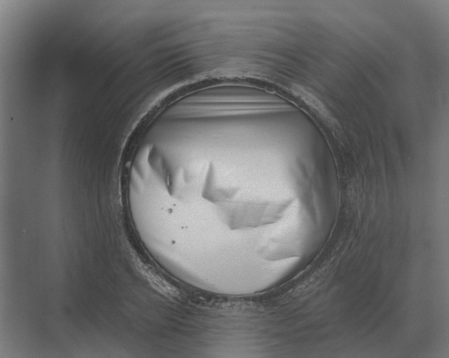 X0000069810934200606021501