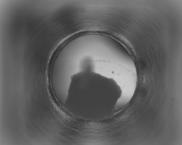 X0000069810935200606021501