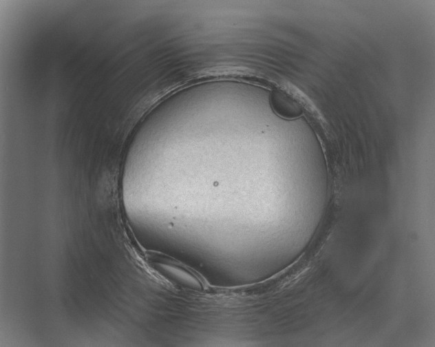 X0000069810937200606021501