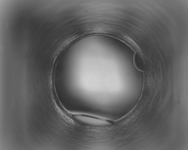 X0000069810938200606021501