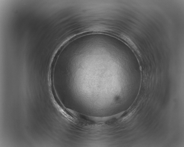 X0000069810939200606021501