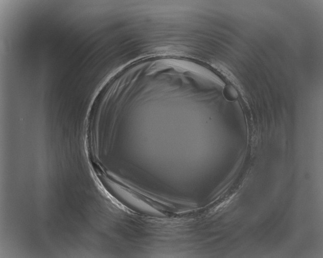 X0000069810941200606021501