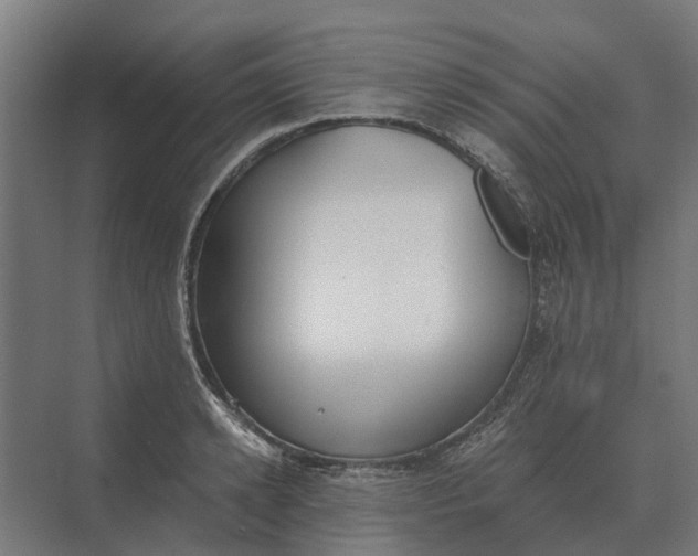 X0000069810942200606021501