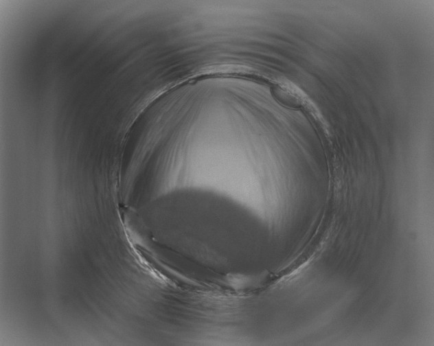 X0000069810945200606021501