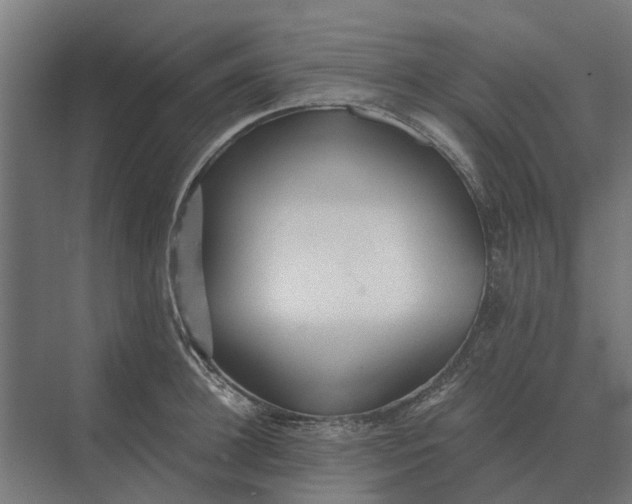 X0000069810948200606021502