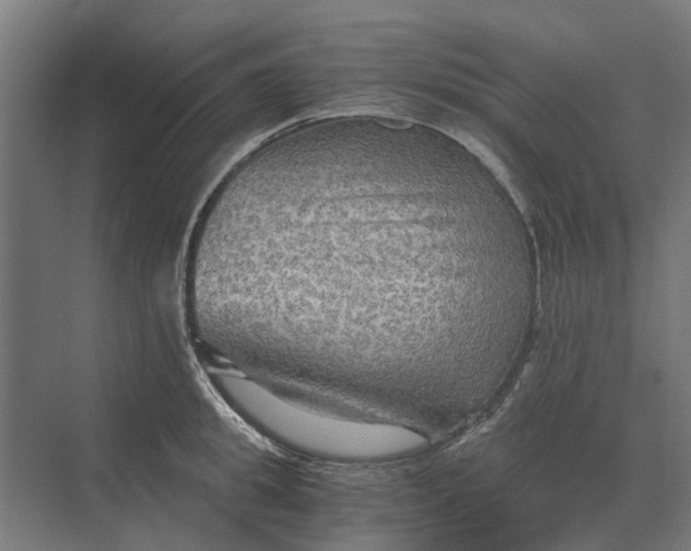 X0000069810949200606021502