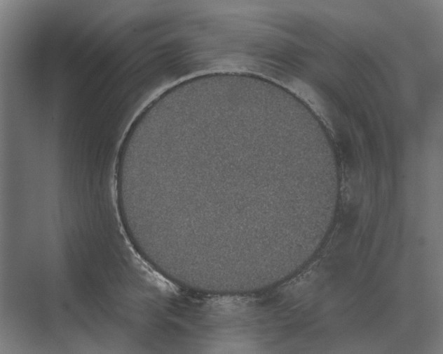 X0000069810950200606021502