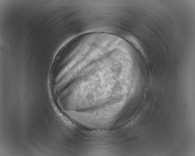 X0000069810952200606021502