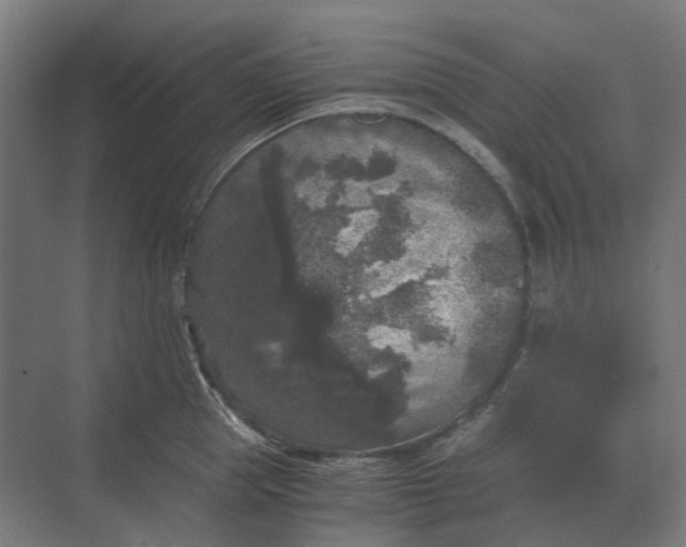 X0000069810953200606021502