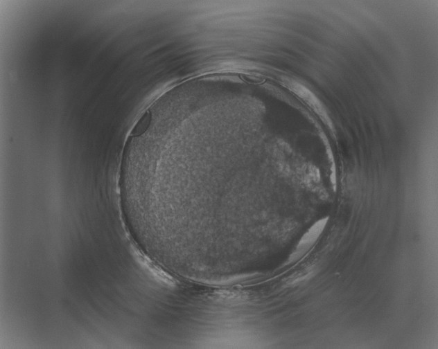 X0000069810954200606021502