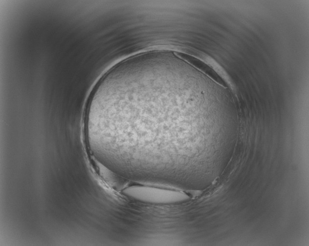 X0000069810955200606021502