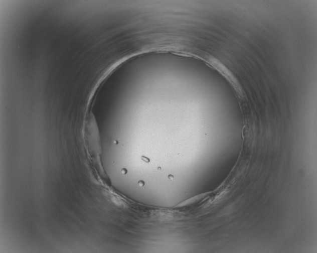 X0000069810956200606021502