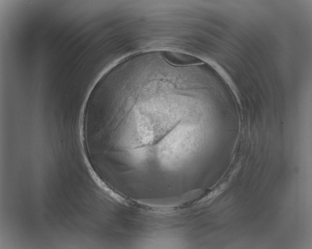 X0000069810957200606021502