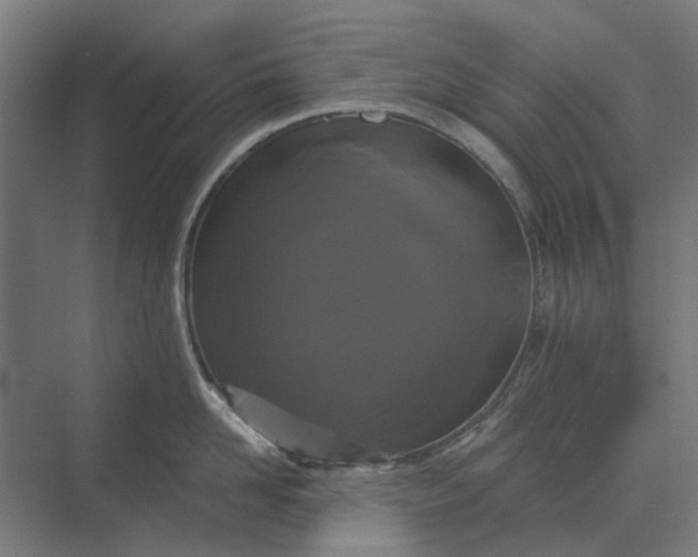 X0000069810958200606021502