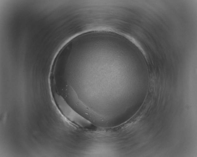 X0000069810959200606021502