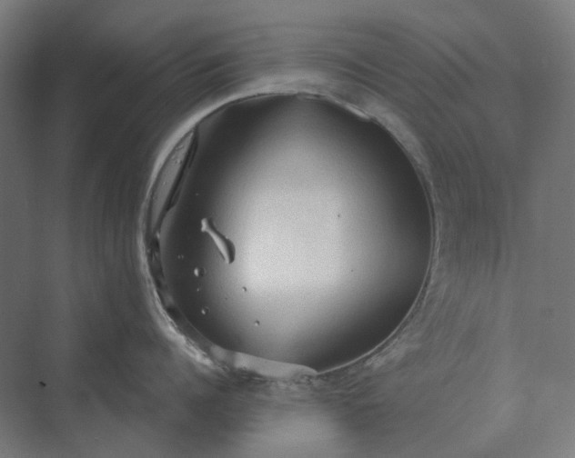 X0000069810960200606021502