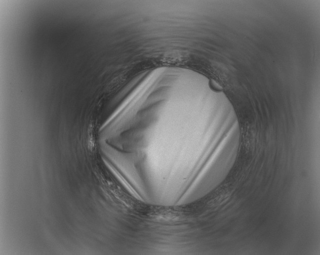 X0000069810962200606021501