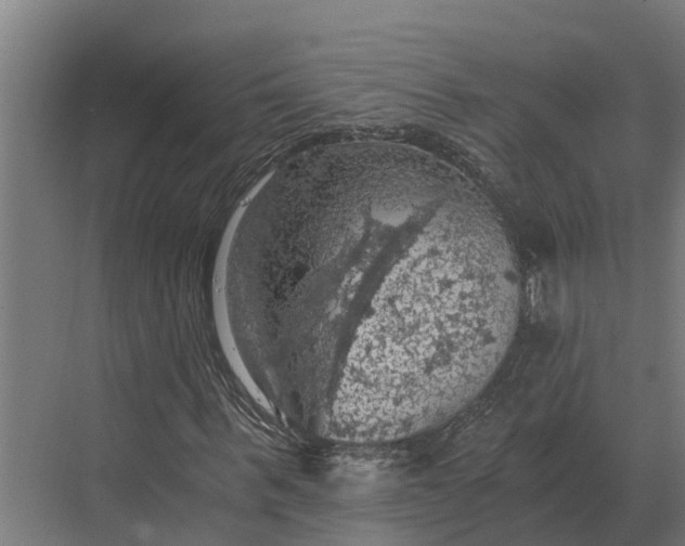 X0000069810963200606021501