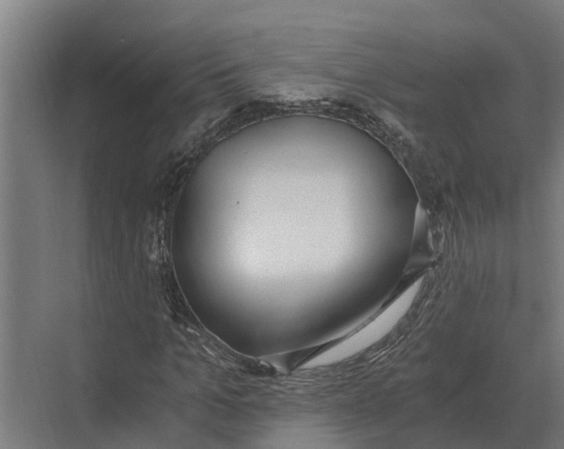 X0000069810965200606021501