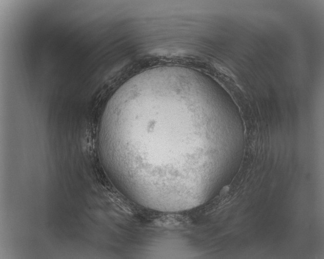 X0000069810966200606021501