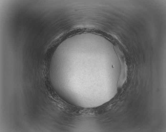 X0000069810967200606021501