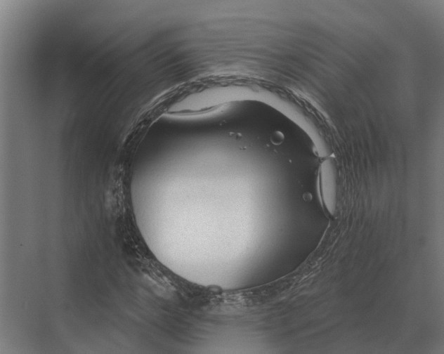 X0000069810968200606021501